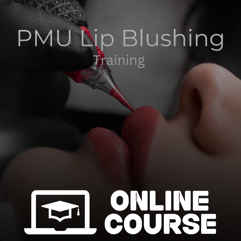 Lip Blush Certificate Course (Online Zoom Training)