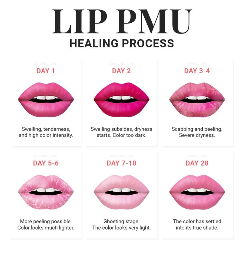 PMU-Lip Blush Certificate Course